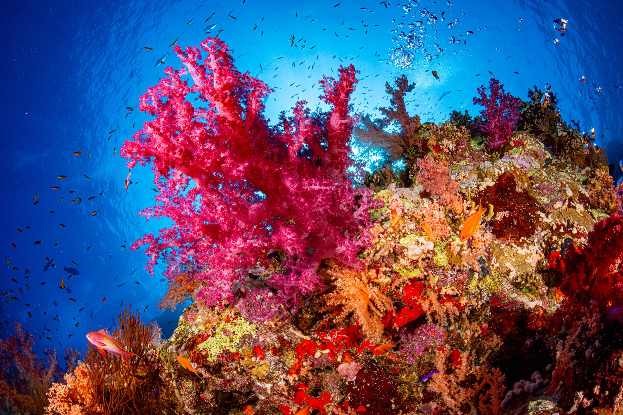 470556189 1121241159366206 7572007488081491726 N