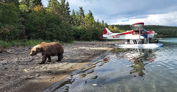 Bearland, Alaska