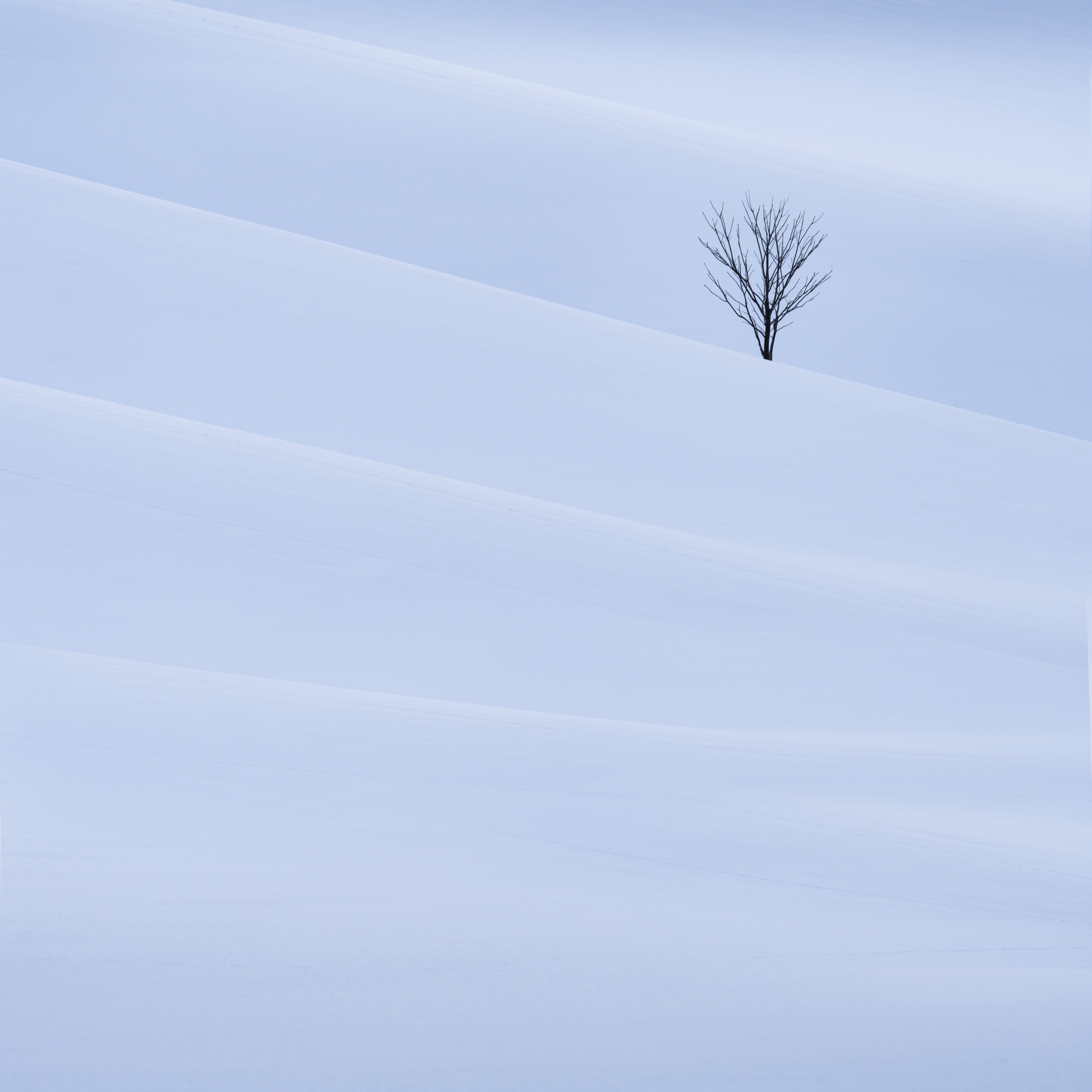 2nd Place – Between the Ridges by Mark Sims