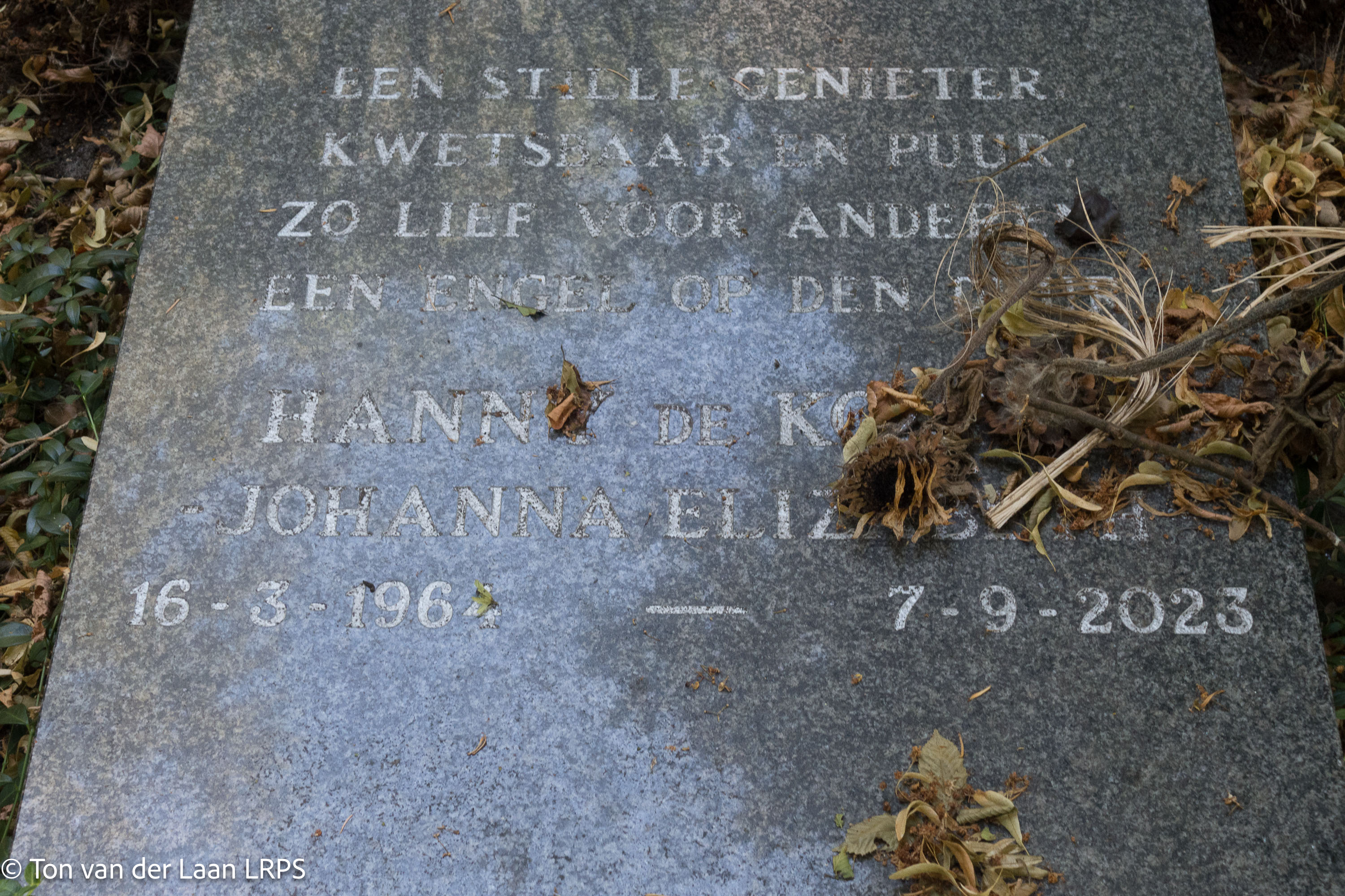 Ton Van Der Laan TWT For Ezine 2