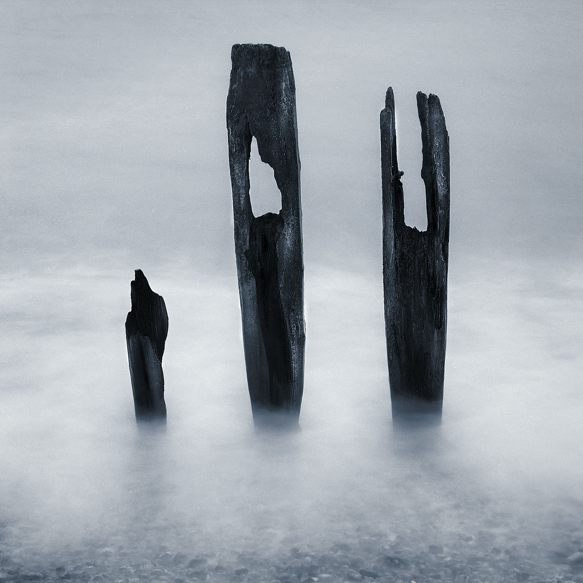 Scott Liz Time And Tide