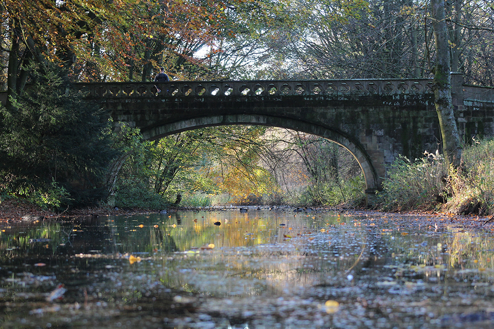 Bridge