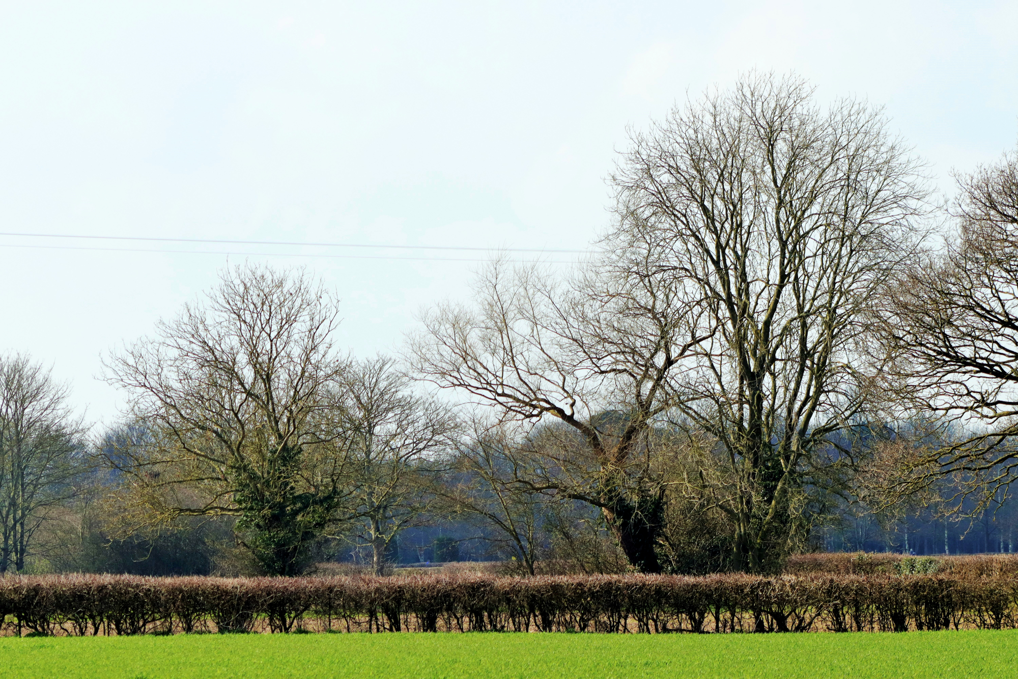 54N 1W, Yorkshire by Roy Henstock