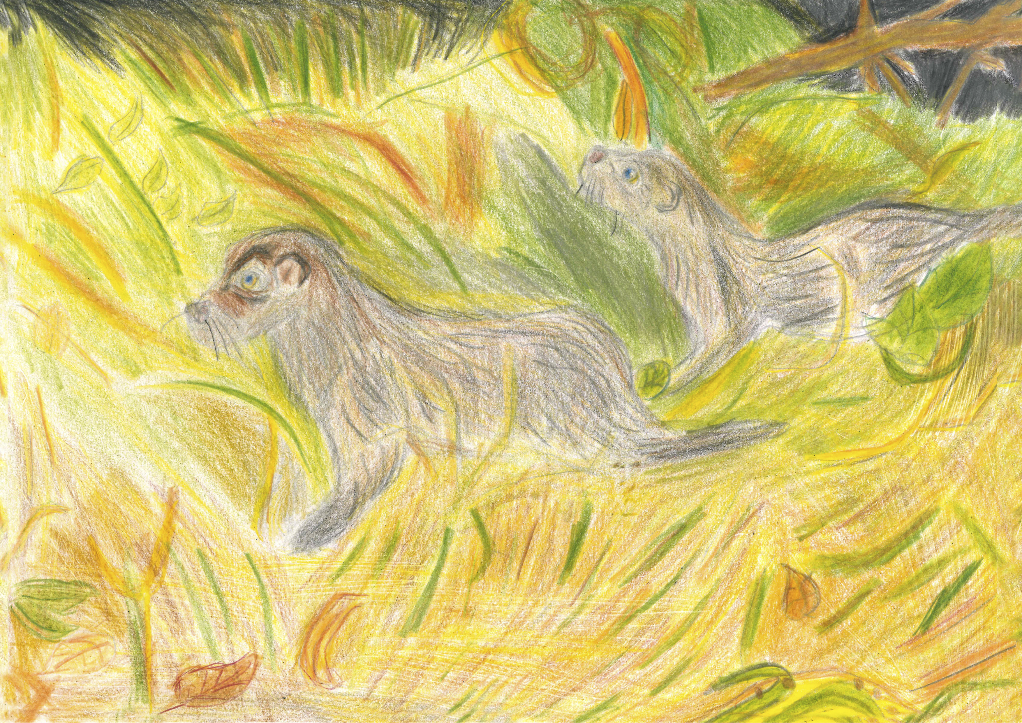 Otter 1 Art