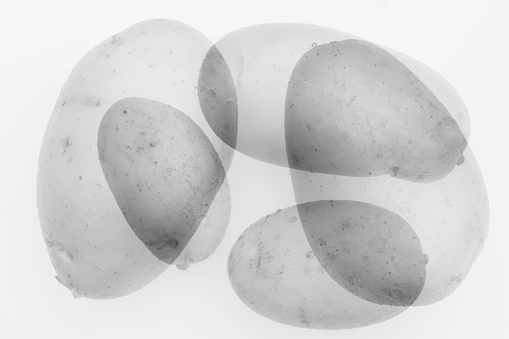 Five Potatoes Sue Searle