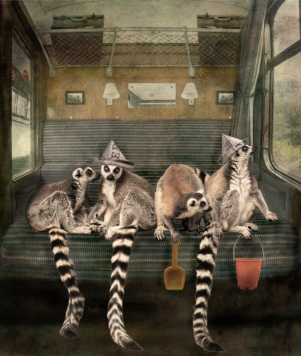 The Lemurs Take The Train By Wendy Irwin ARPS