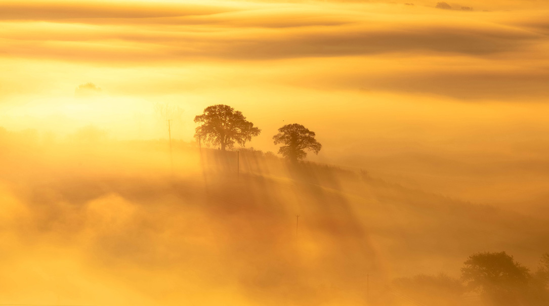 Wiltshire By Edyta Rice 1085X605