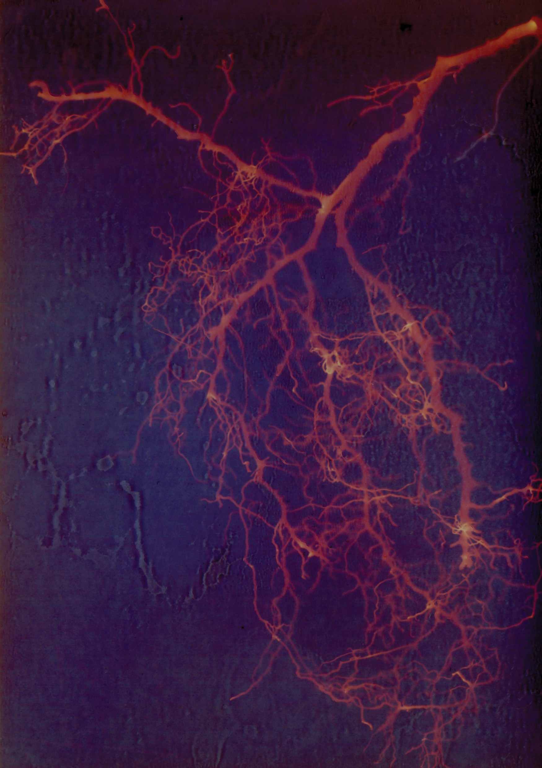 Hallowell Gayle Veins Of The Earth 150Kb