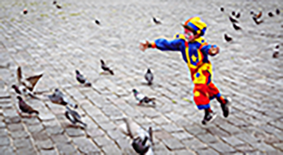 Chasing Pigeons 580X72