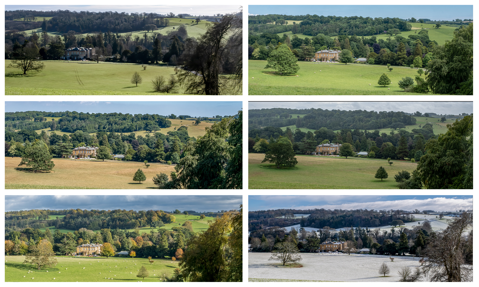 2 X 3 Panel Alistair Purcell