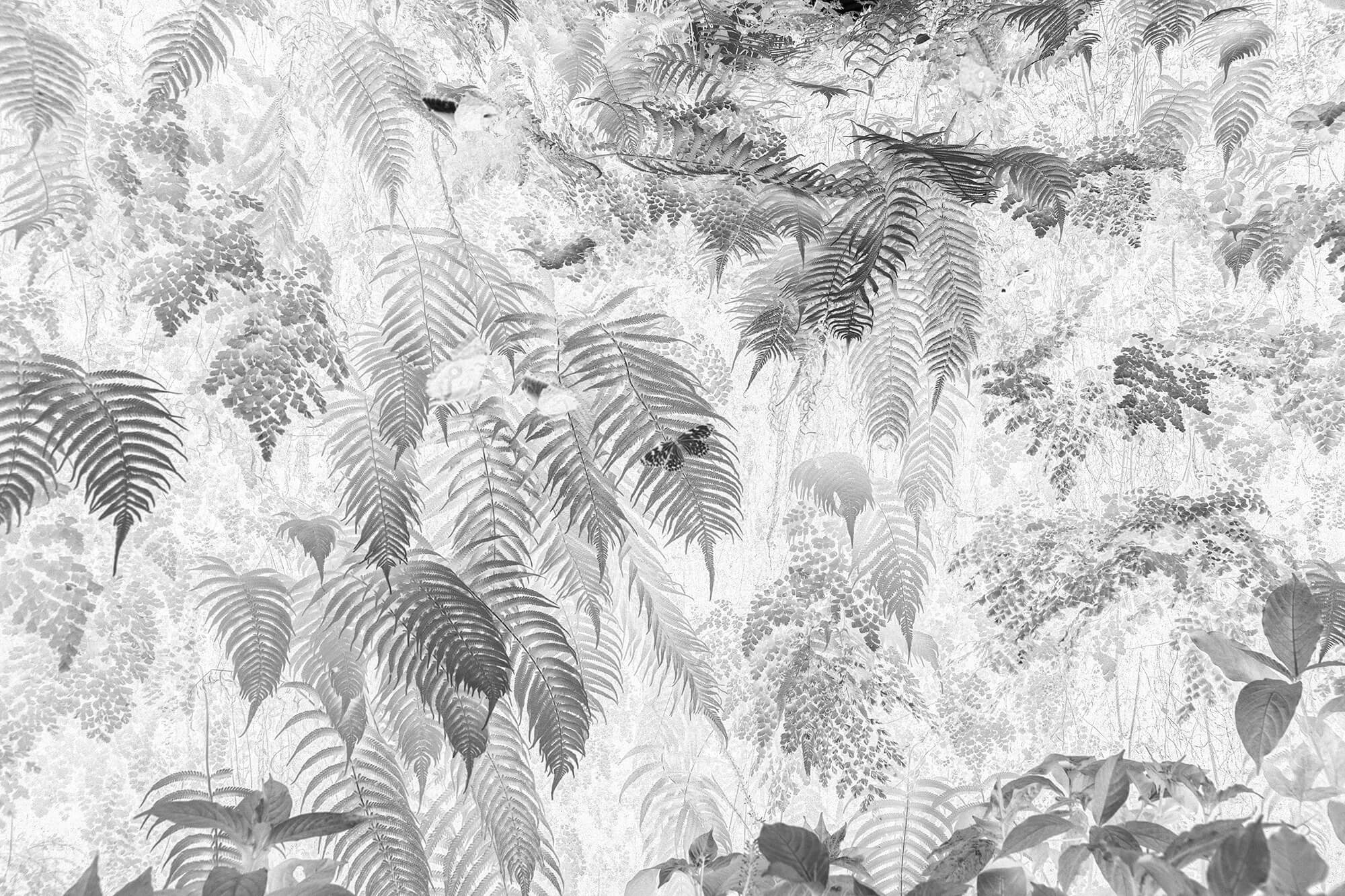 'Ferns And Butterflies' From The Series Afterimages By Itmar Freed
