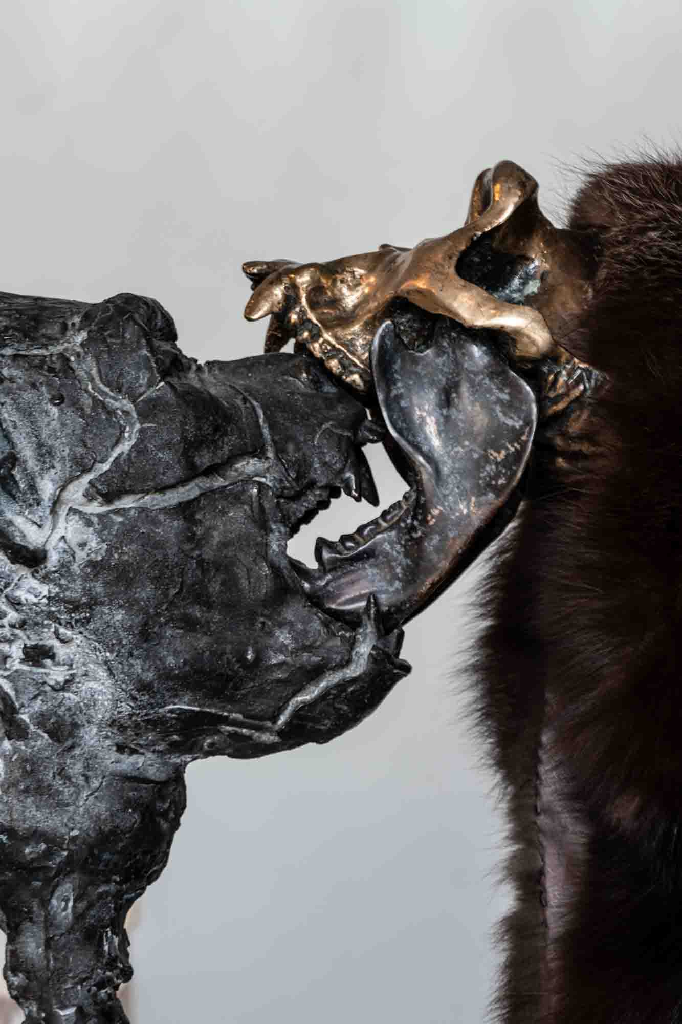 Chantelle Conlan Jaws