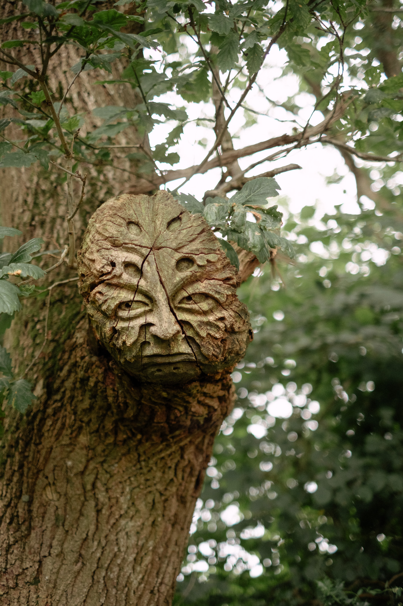 5566576 Livvi Grant Carved In Our Image