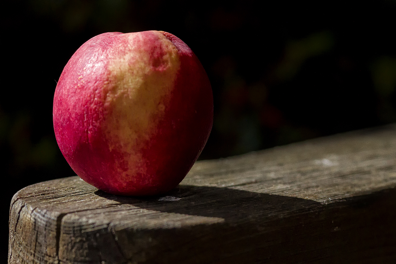 Apple in the Sun