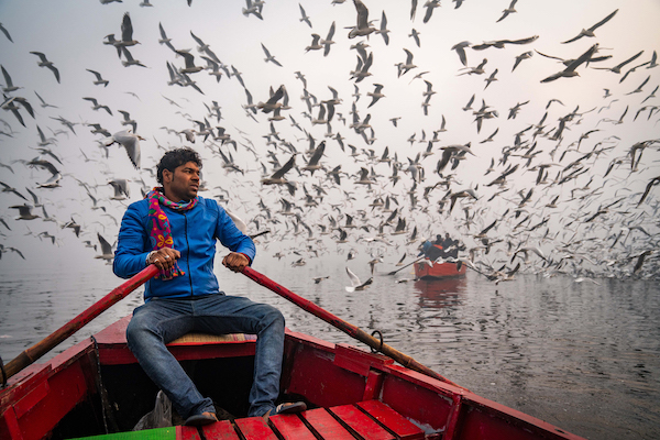 600X7207 Birdman, New Delhi Ngar Shun Victor Wong FRPS