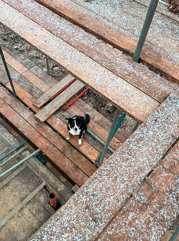 Jasmine, St Mark's Junior School