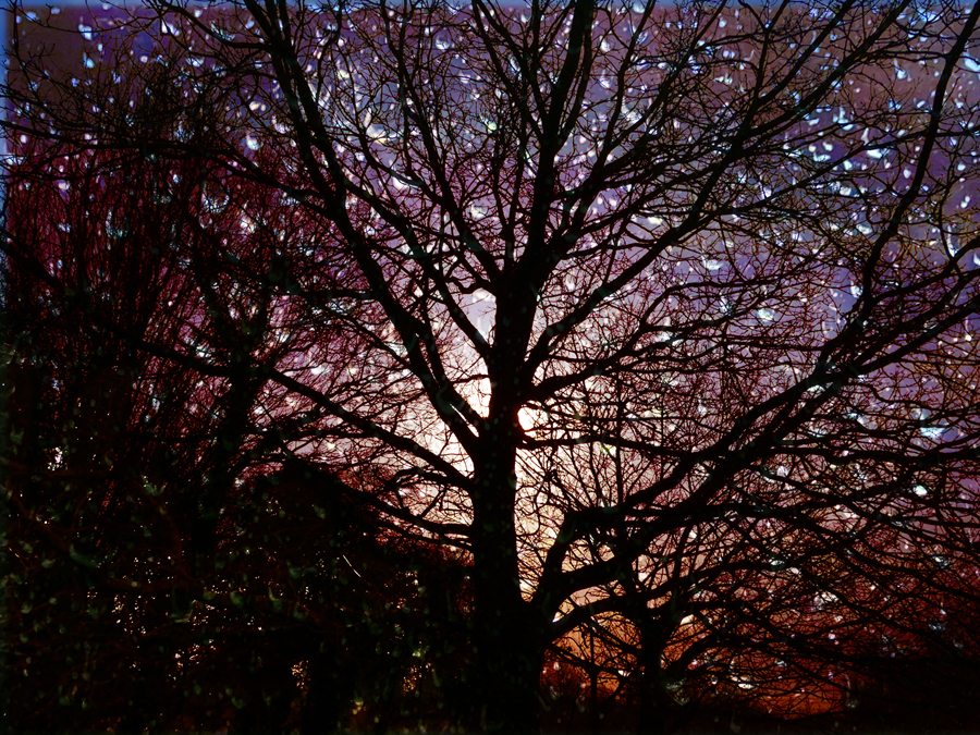 2603 Janet Turnbull Tears Of The Sun For Web