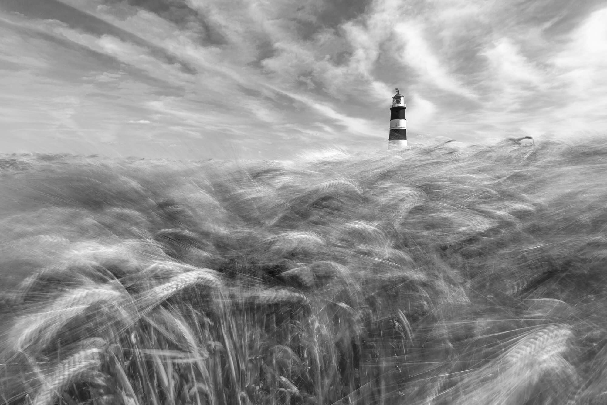 6. PS ‘Sea Of Barley’ By Justin Minns FRPS