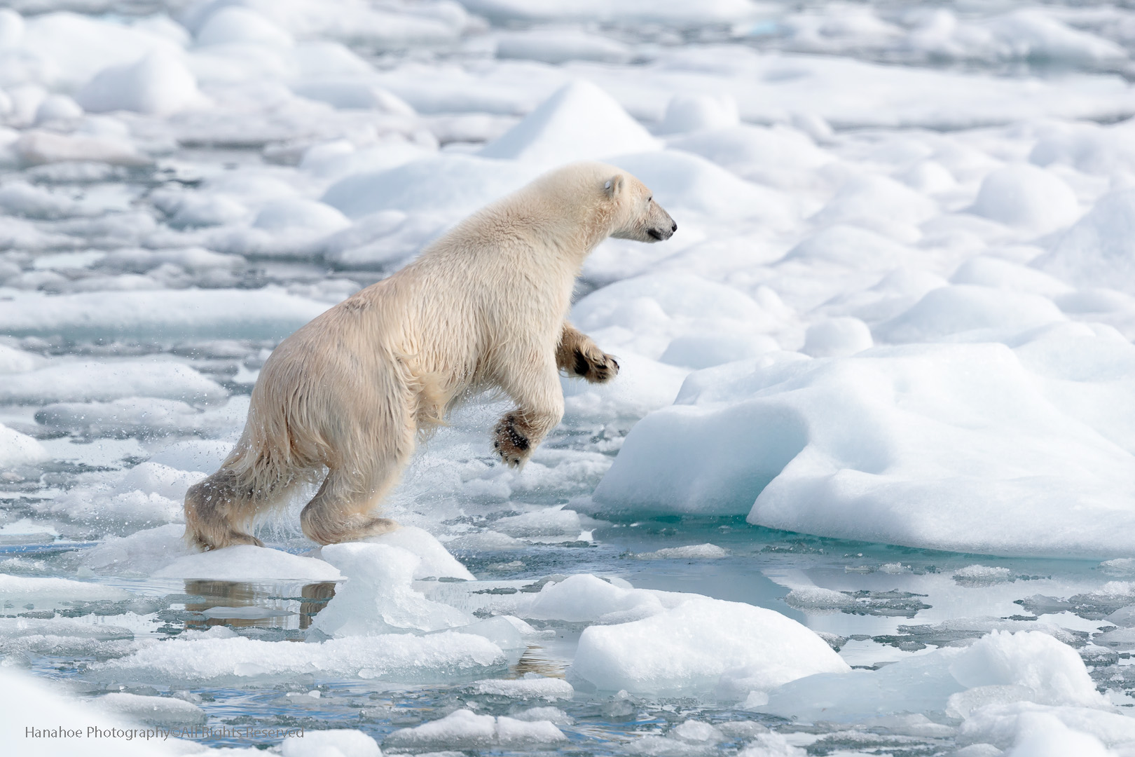 Professor Thomas Hanahoe FRPS