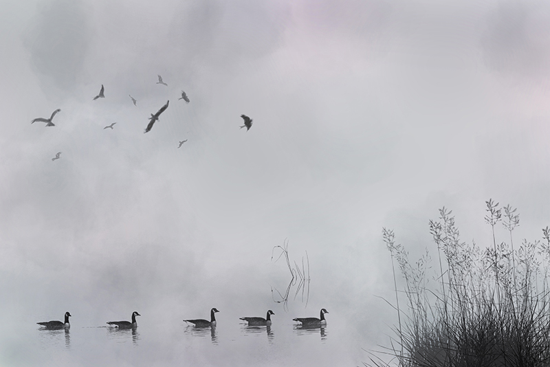 TEXTURE & 4 MADE BRUSHES By Hilary Bailey