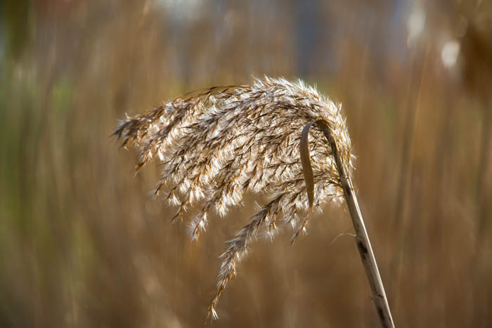 Sue Goldberg TWT Photo 5