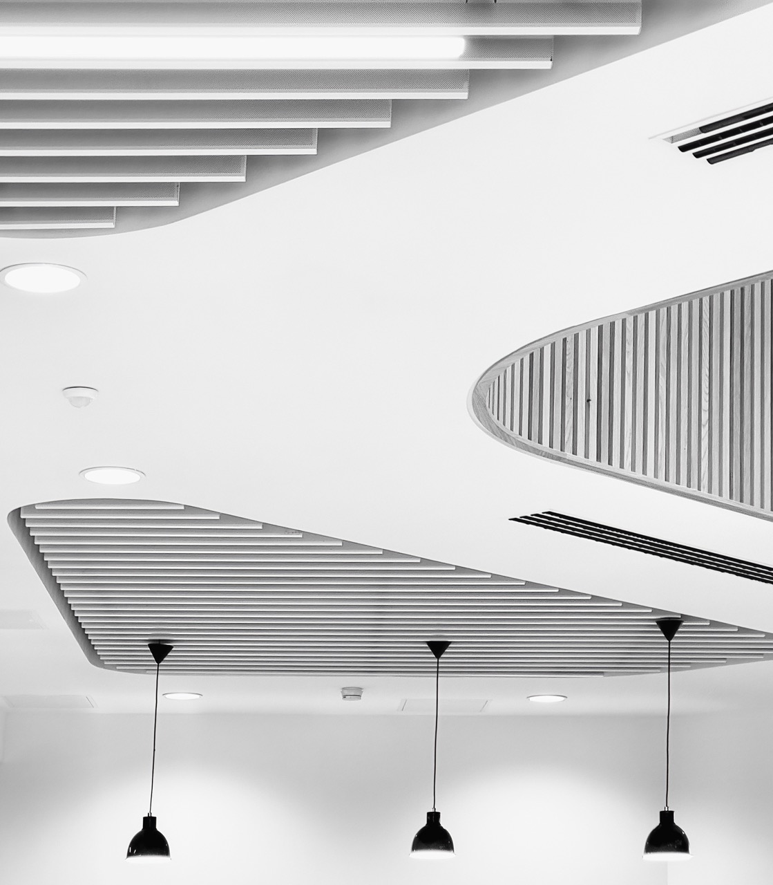 Taylor Neill Ceiling Lights Large