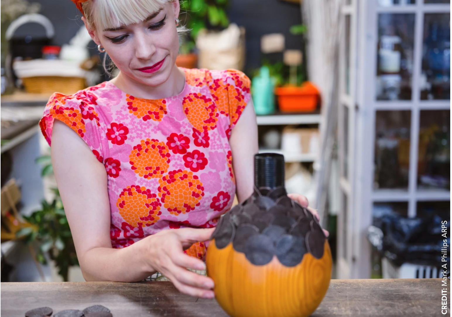 Mark Phillips Doc Workshops 2