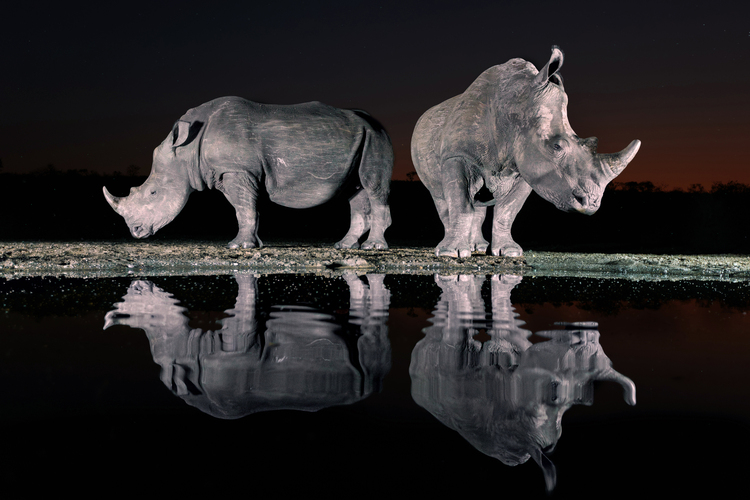 O4A5115 Enhanced Baqck