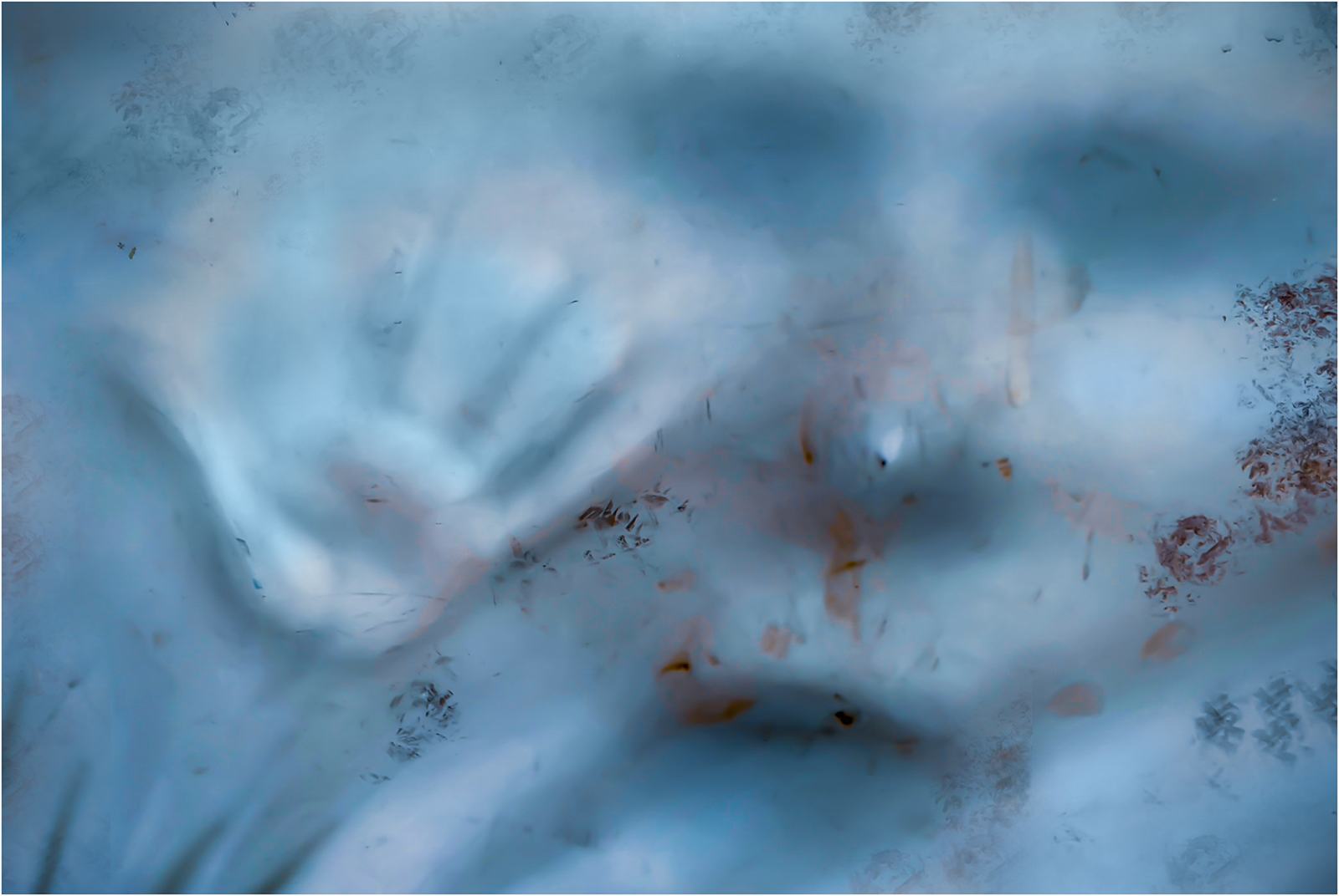 Trapped By Suzy Courtnage LRPS