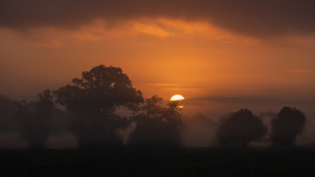 Norfolk Dawn