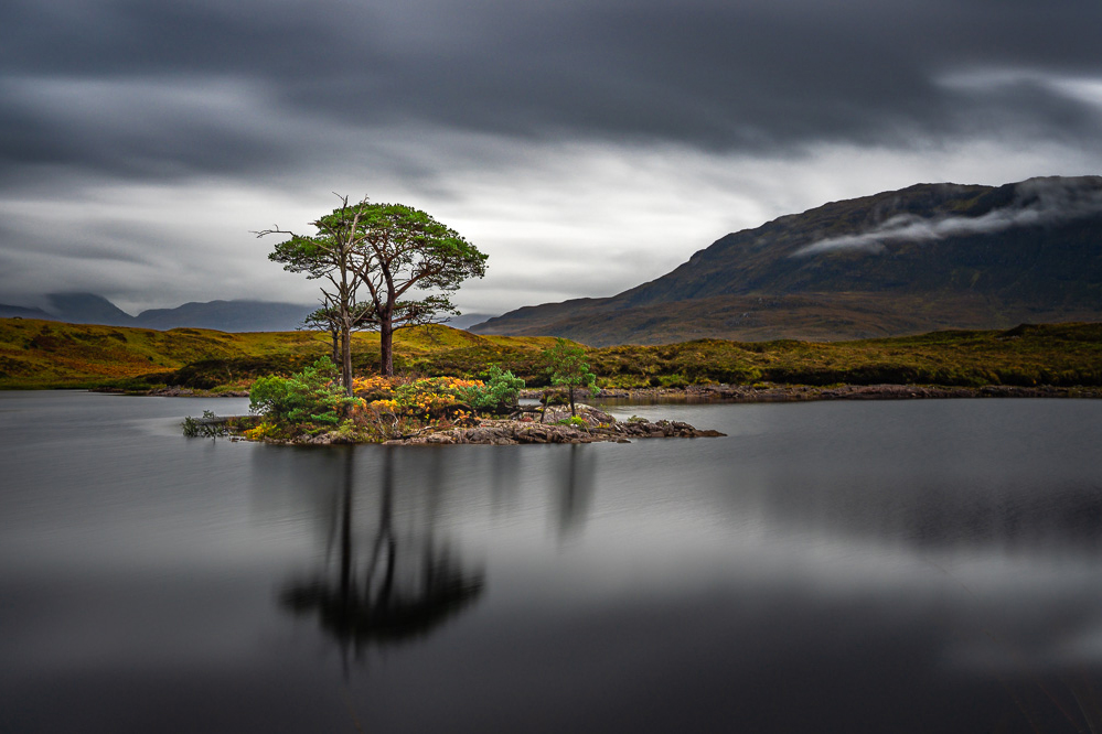 Loch Assynt Pines