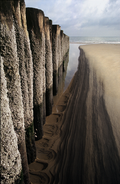 Suegoldberg Card LRPS 06