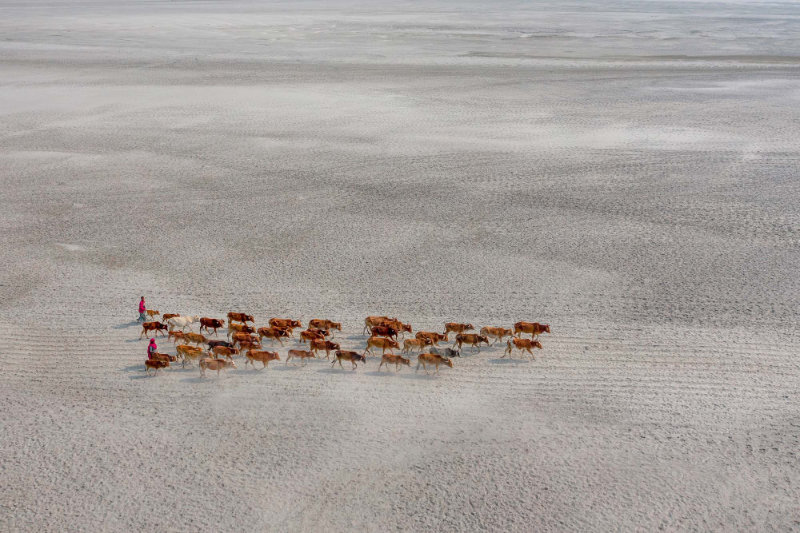 1257 Dead River By Abdul Momin