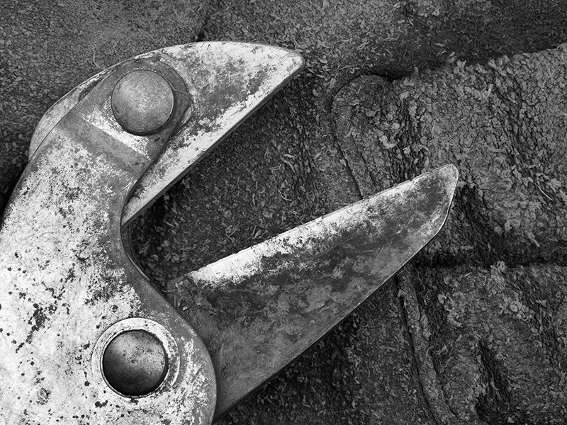 800X600 Cut The Talking