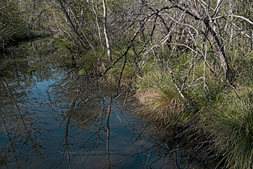 Gerry Phillipson ARPS 15