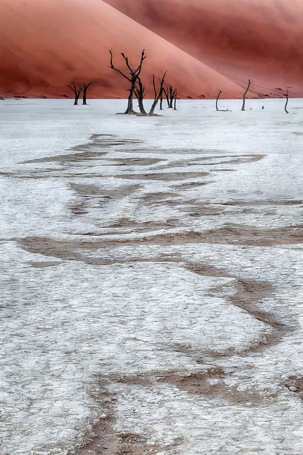 Deadvlei Namibia by Rob Morgan