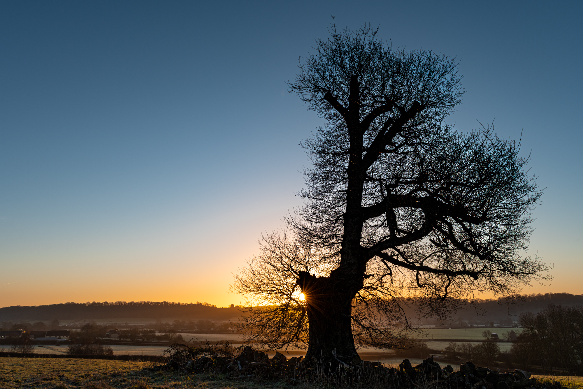 51N 3W, Somerset By Bridget Davies ARPS