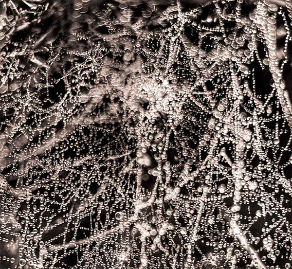 Ellie, Burgate School