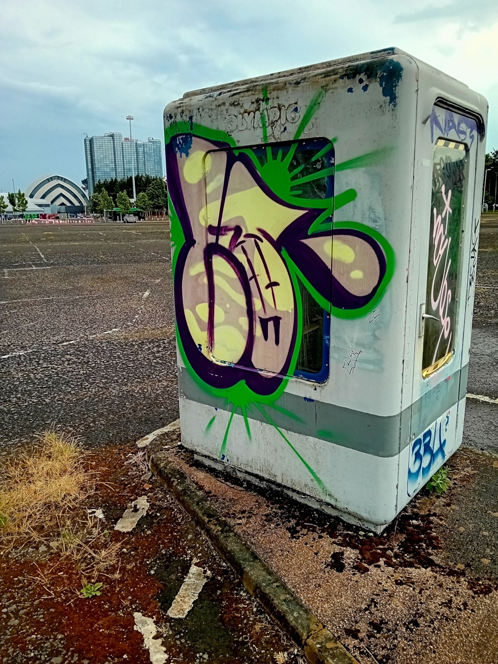 Rear Of The Armadillo