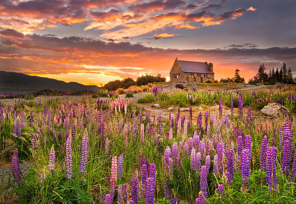 Gigi Williams 366676