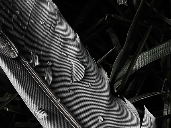 Helen, Upper Shirley High School