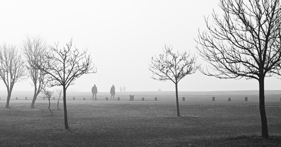 Misty Morning - Dorney