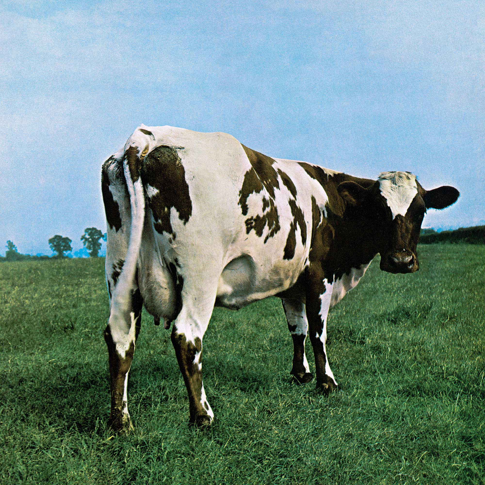 Pink Floyd Atom Heart Mother (1)