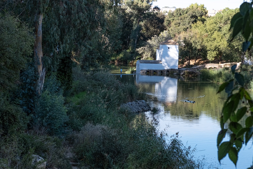 Molino De Las Aceñas, Alcalá de Guadaíra, Seville by Donatus Gricius