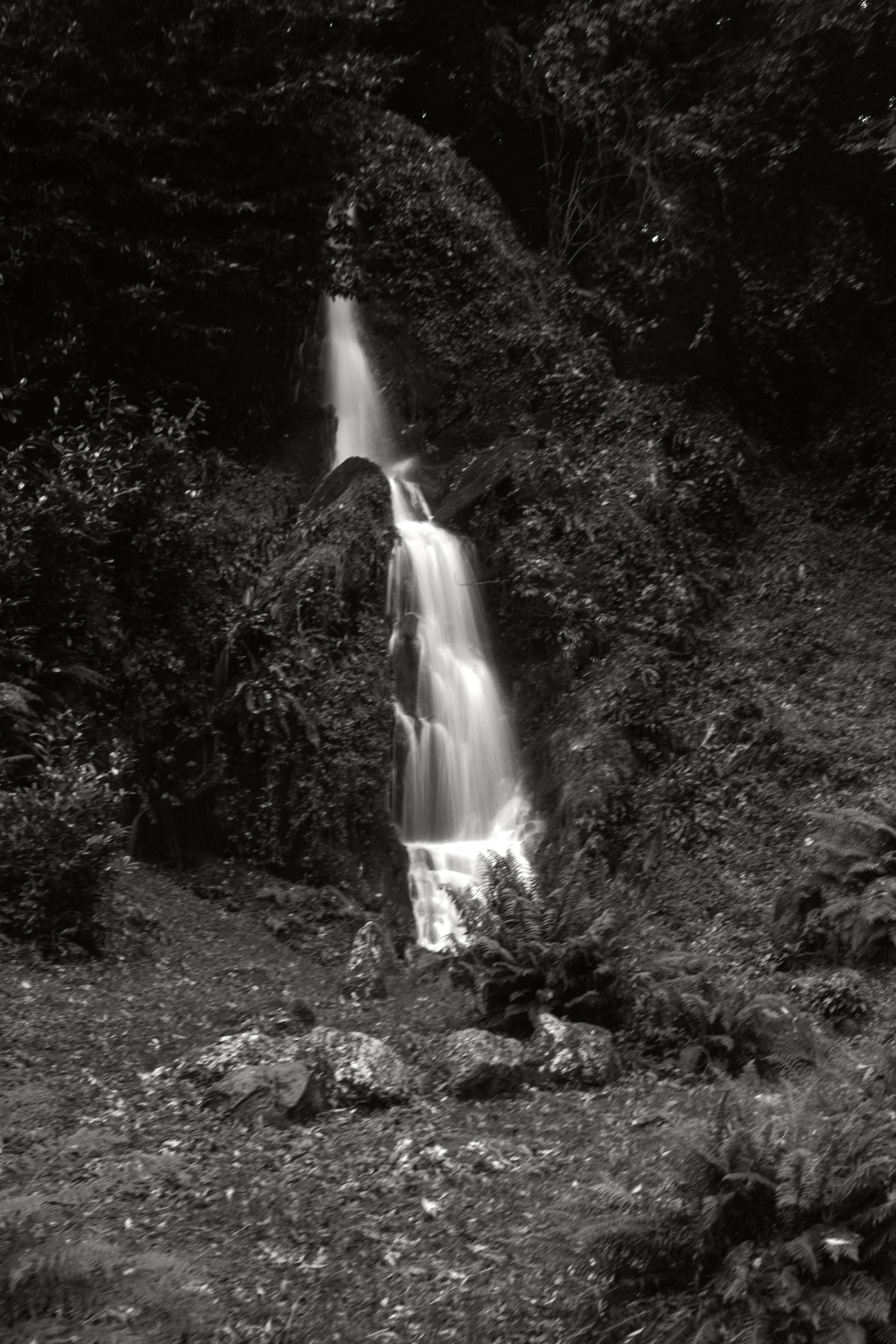 5566531 Livvi Grant Dscf2169