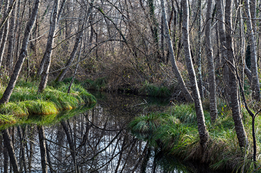 Gerry Phillipson ARPS Card 01