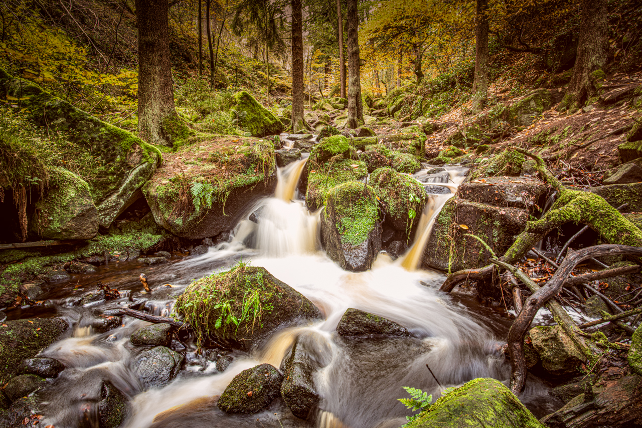 Wyming Brook