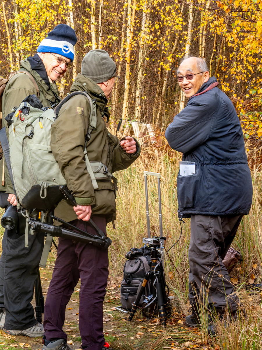 Sandy Slime Moulds 2