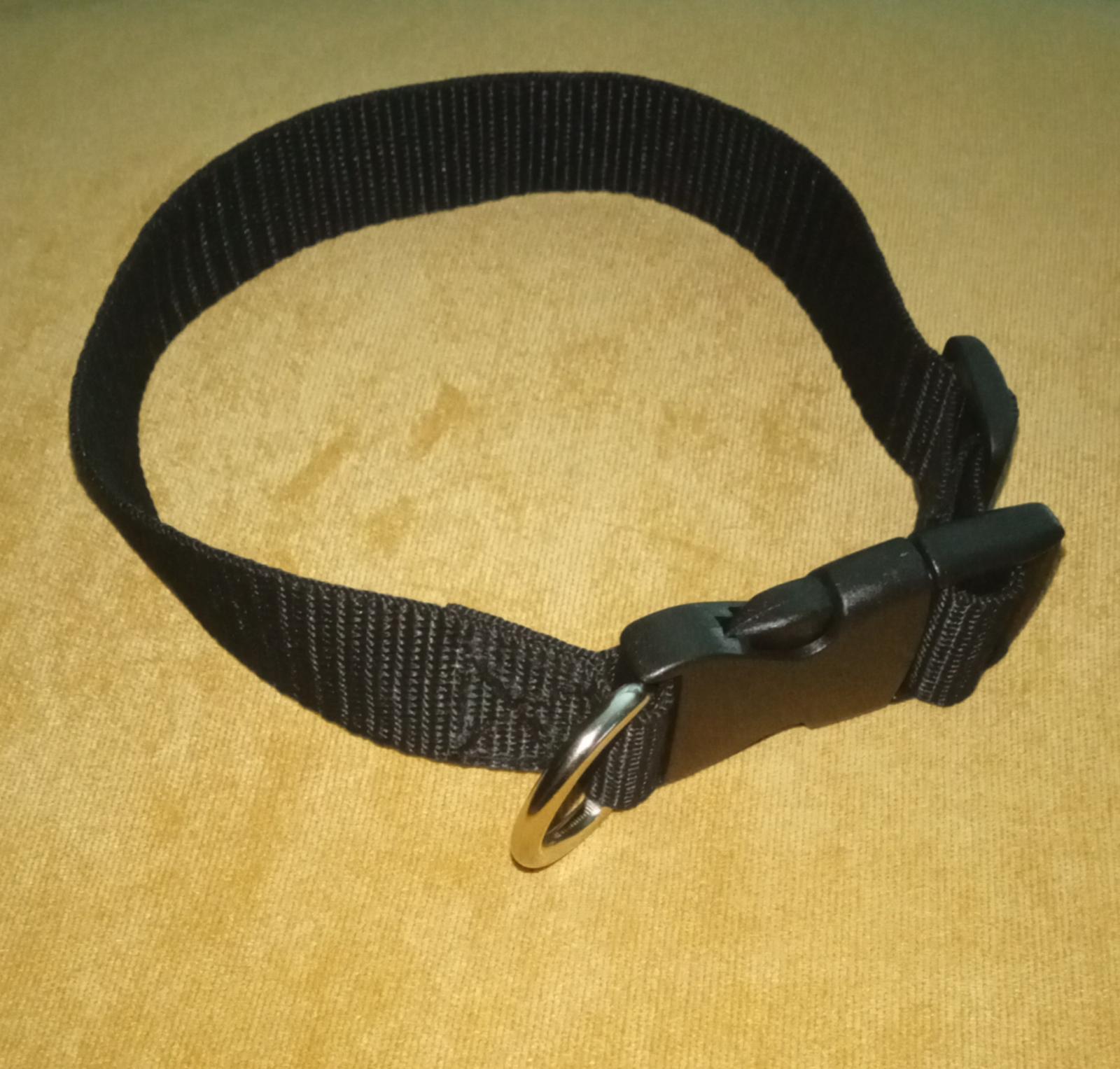 Dog Collar 