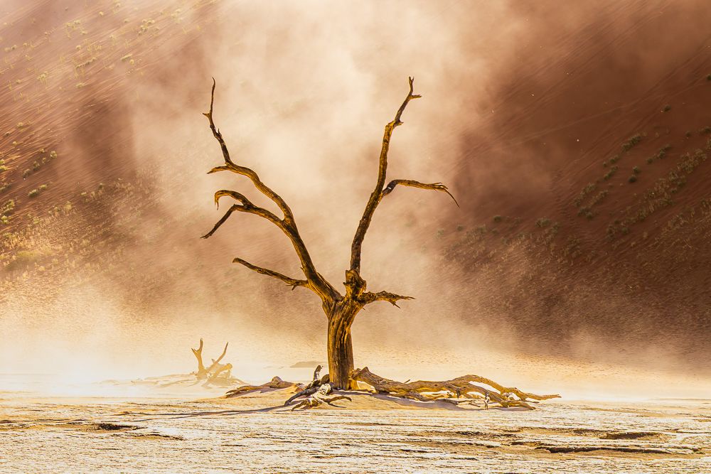 Dead Vlei Dust, Sosussvlei, Namibia by Alan Cameron